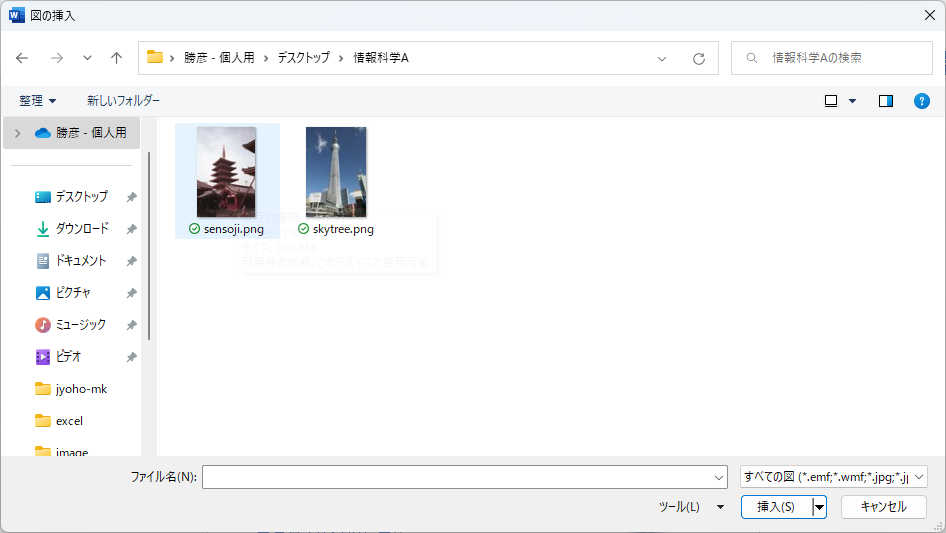 insert image 01