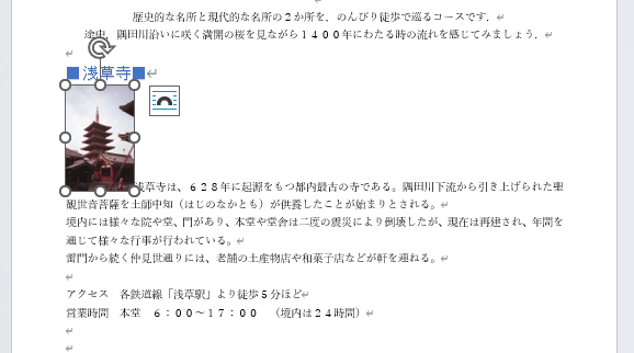 insert image 1