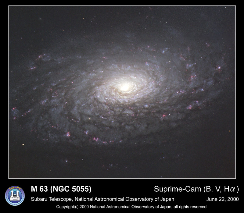 original M63.jpg