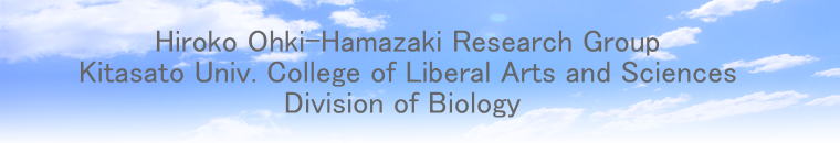 Hiroko Ohki-Hamazaki Research Group Kitasato Univ. College of Liberal Arts and Sciences Division of Biology 